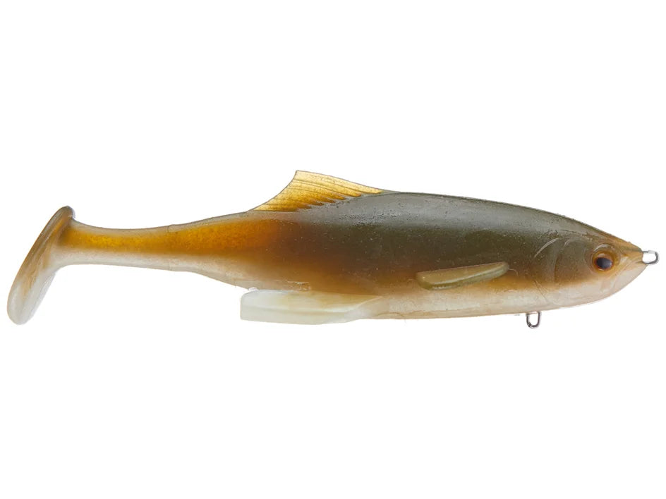 GetNet Owner Japan Burikin Swimmer